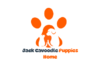cropped logo.png